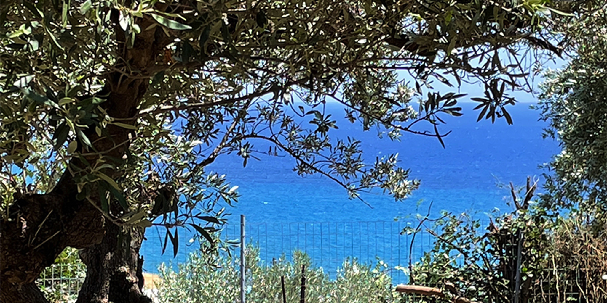 Προς δημόσια διαβούλευση το νομοσχέδιο για την εκτός σχεδίου δόμηση Προς δημόσια διαβούλευση το νομοσχέδιο για την εκτός σχεδίου δόμηση